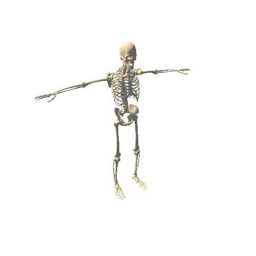 prefab skeletal system